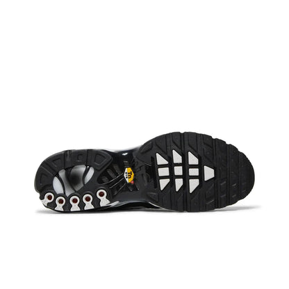 Nike Air Max Plus TN Black Metallic Silver