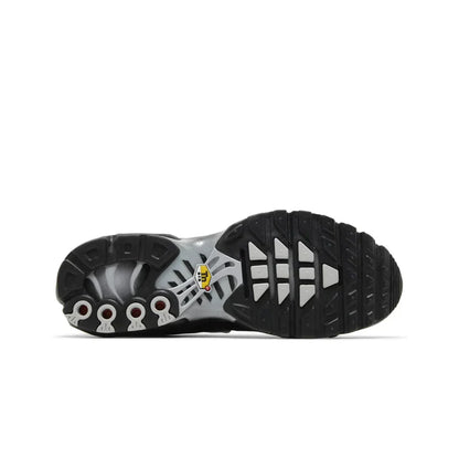 Nike Air Max Plus TN Multi Swoosh