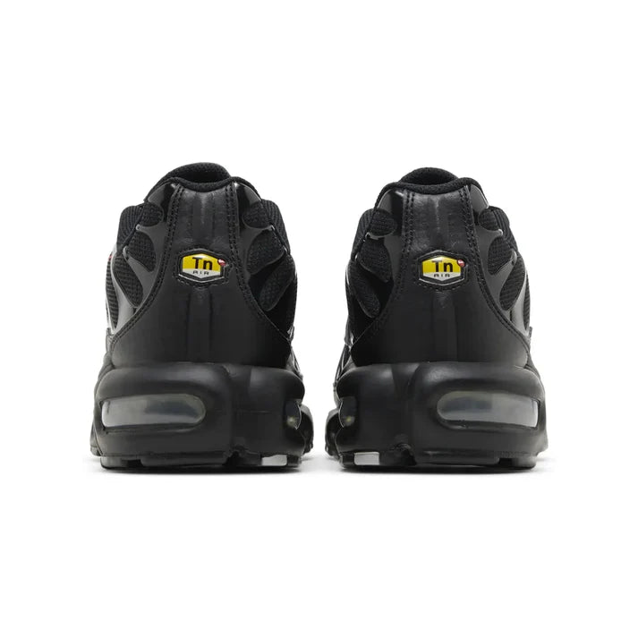 Nike Air Max Plus TN Multi Swoosh