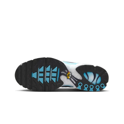 Nike Air Max Plus TN Dark Obsidian