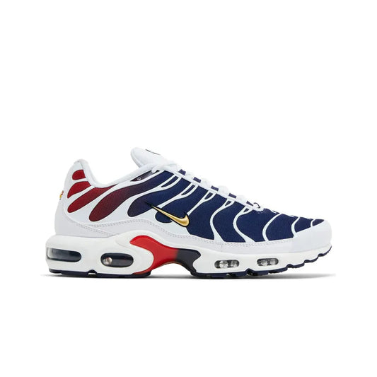 Nike Air Max Plus TN PSG
