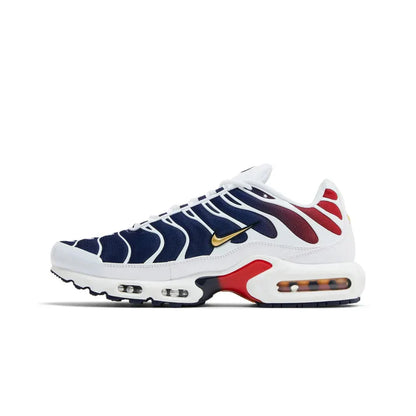 Nike Air Max Plus TN PSG