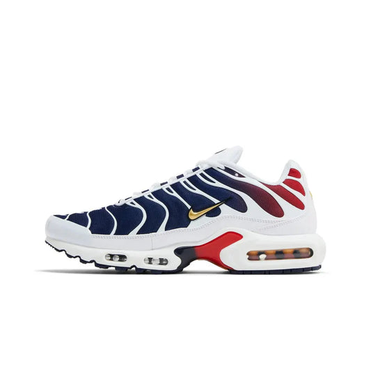 Nike Air Max Plus TN PSG