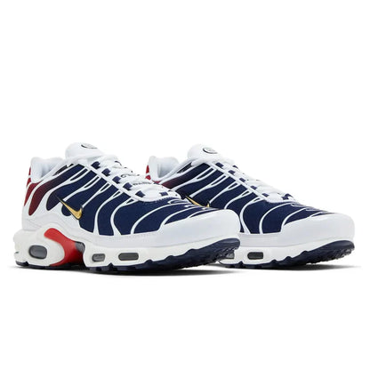 Nike Air Max Plus TN PSG