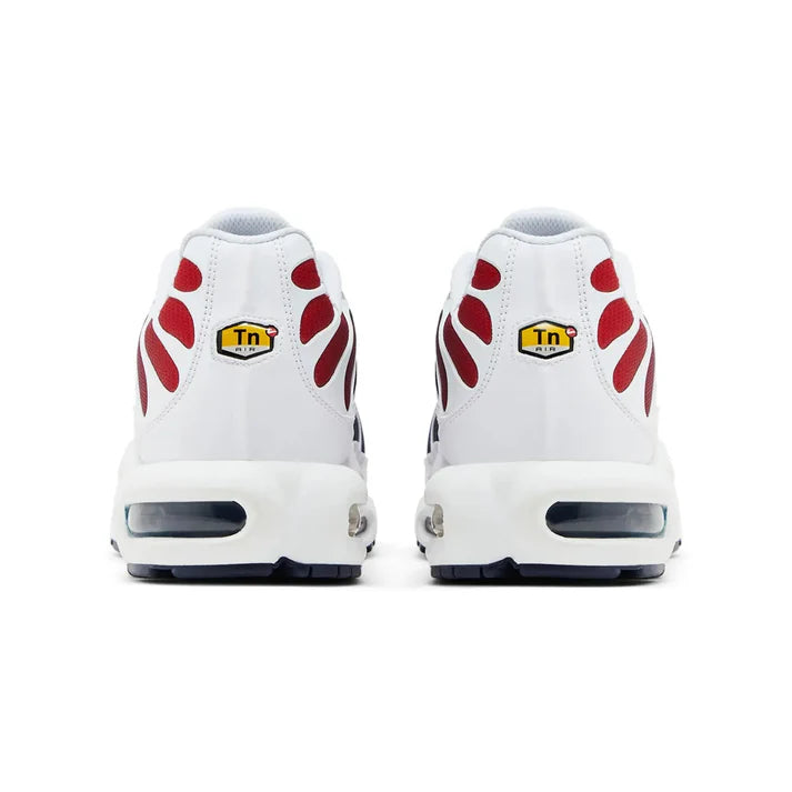 Nike Air Max Plus TN PSG